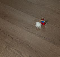 Tarkett Funky House TOM фото 4 | FLOORDEALER